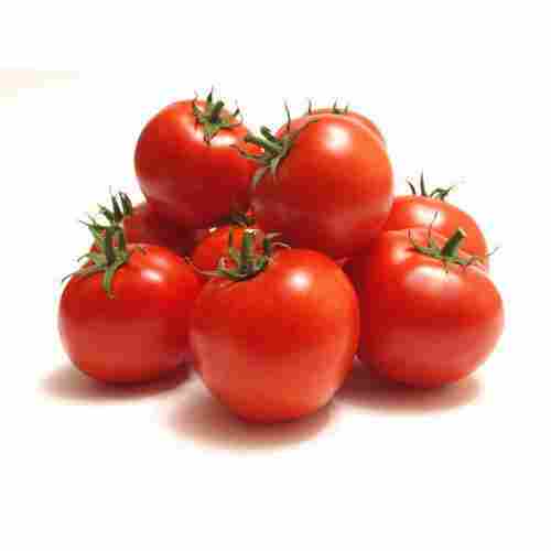 Healthy Farm Fresh Antioxidants Indian Origin Naturally Grown Sweet Red Tomato