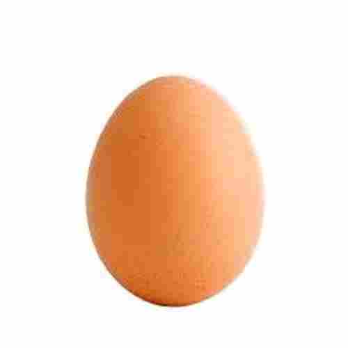 Fresh High Protein Oval Shape Brown Poultry Eggs