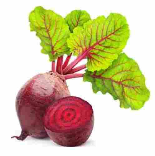 Vitamins Enriched Indian Origin Naturally Grown Antioxidants And Healthy Farm Fresh Beetroot