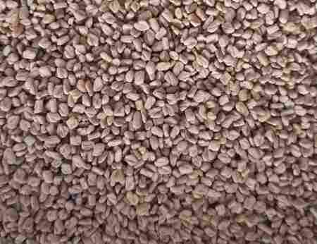 100% Pure and Unadulterated Metha Seed