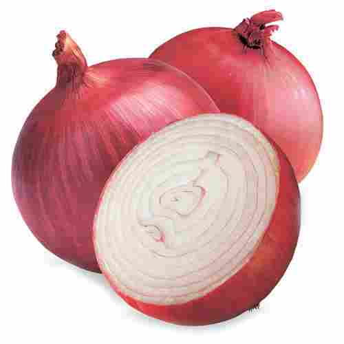 Farm Fresh Indian Origin Naturally Grown Antioxidants And Vitamins Enriched Healthy Onion