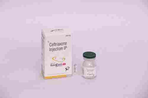 Sologard-500 Ceftriaxone Antibiotic Injection, 500 GM