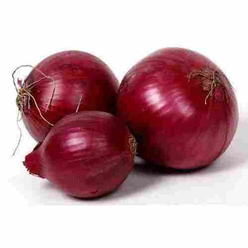 Farm Fresh Naturally Grown Round Shape Red Onion