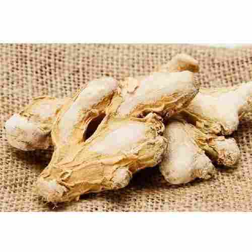 Healthy Indian Origin Naturally Grown A Grade Dried Ginger 