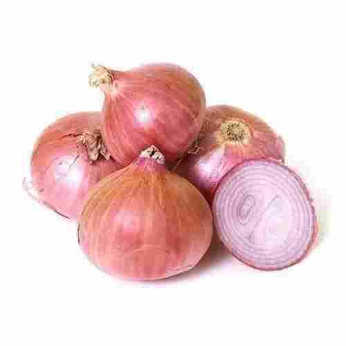 A Grade Dry Large Red Healthy Flavorful Onion, For Food, Hdpe Bag