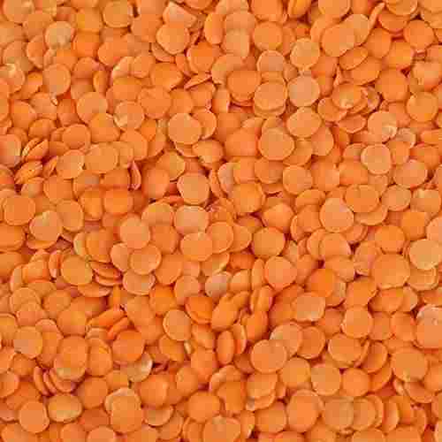100% Pure And Natural Organic Whole Masoor Dal For Cooking