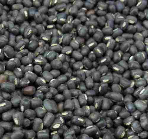 Black Gram Seed With 12 Month Shelf Life and No Added Colors, Packing Type Woven Sack