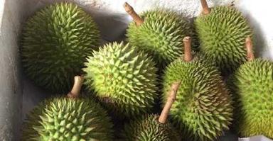 Organic 100% Natural Delicious Fresh And Healthy Round Green Durian Fruit 