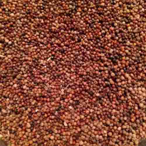 Healthy Indian Origin Pure Vitamins Rich Natural Finger Millet Seeds
