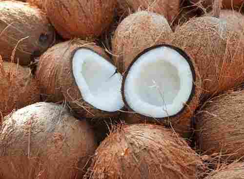 Natural Healthy Energy Levels Increased Potassium Enriched Solid And Raw Brown Coconut 