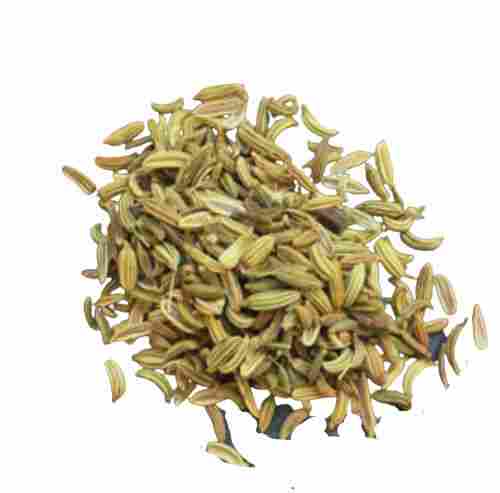 Best Flavor Savoury Spice Higherst Quality Dry Fennel Seed 