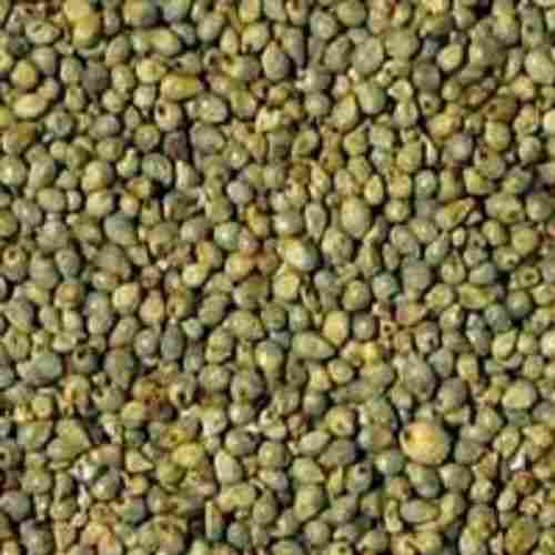 Green 99 Percent Pure A Grade Healthy Gluten Free Millet Bajra Seeds 