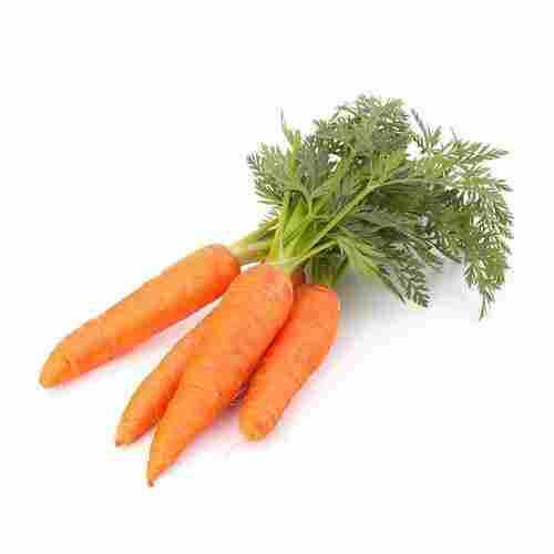  स्वस्थ ताजा उच्च विटामिन एंटीऑक्सिडेंट नारंगी गाजर पूजा किया हुआ