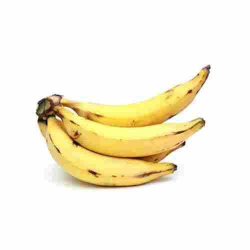 Indian Originated And Commonly Cultivated Elongated Shape Fresh Sweet Banana 