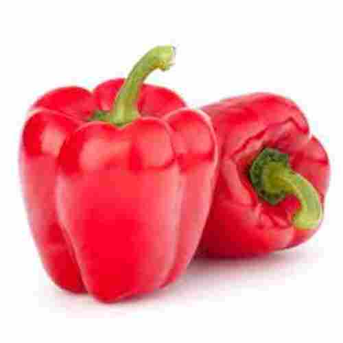 Good Source Of Fresh Vegetable Fruit Red Capsicum 