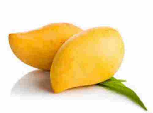 India Origin Delicious And Versatile Verity Chaunsa Mango 