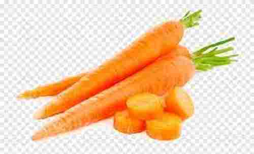 Orange Color Fresh And Healthy Cylindrical Carrot For Domestic Usage