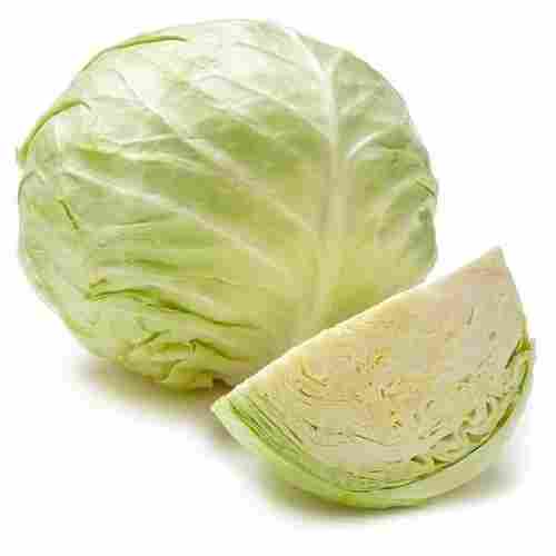 100 Percent Natural Pure And Organic Fresh Green Round Cabbage For Cooking