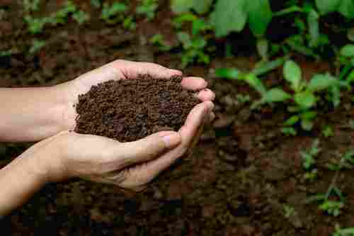 Bio Organic Fertilizer Used In Agriculture Sector For Growing Plant