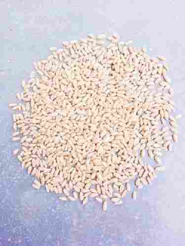 100 Percent Pure Organic Highly Nutrient Enriched Spring Brown Wheat Grain