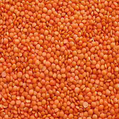 No Added Preservatives Highly Nutritious Gluten Free Unpolished Red Masoor Dal