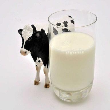 Good Source Of Proteins And Calcium Healthy Fresh And Natural White Cow Milk Age Group: Children