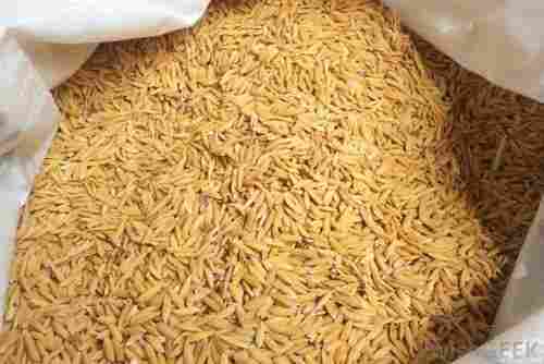 Moisture 12 Percent Free From Impurities Organic Natural Paddy Rice Seeds