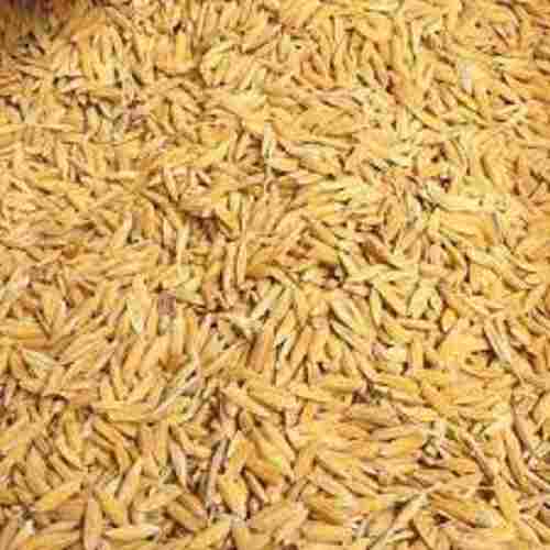 Indian Origin 100% Pure Dried Long Grain Brown Paddy Rice