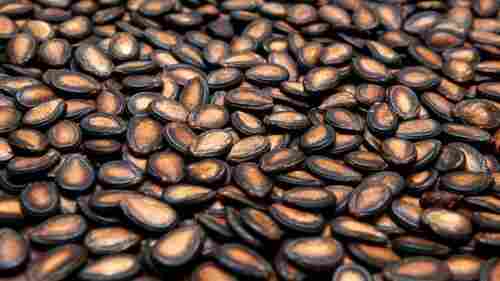 Natural Black Watermelon Seeds Good For Health And Farming