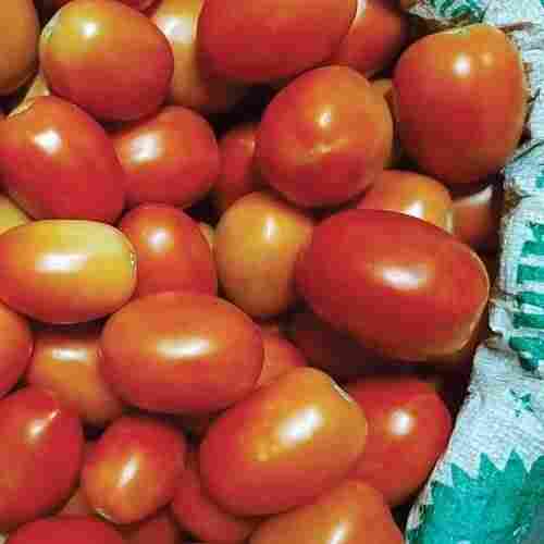 100% Natural Fresh Round Red Tomato Source Of Protein, Fiber, Potassium Easy To Uses For Cooking