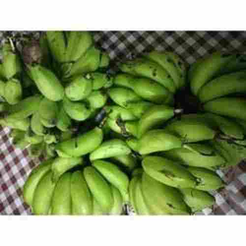 100 Percent Natural And Healthy Green Banana , Rich In Vitamins And High Fibre 