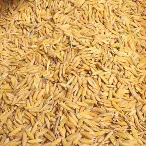 100% Pure Fresh Fiber Enriched Medium-Grain Healthy White Indian Paddy Rice