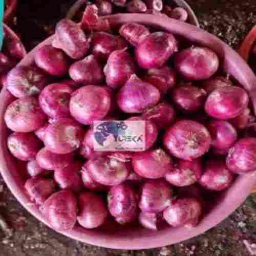 Pure Natural And Organic Round Fresh Red Onions For Cooking Use 