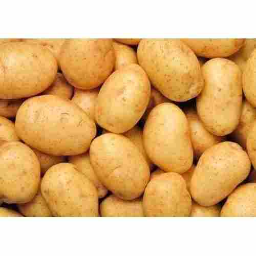 A Grade 100% Healthy Farm Fresh Indian Origin Naturally Grown Brown Rich Fresh Potato