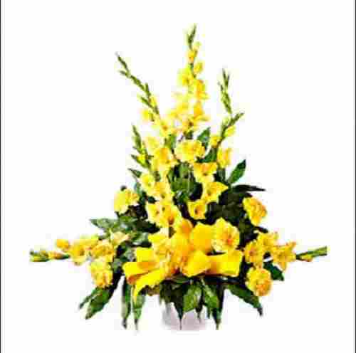 100% Fresh Natural Basket Of Gold Yellow Carnations Flowers