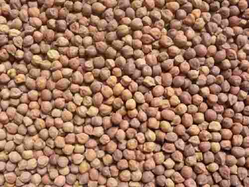 100 Percent Fresh Pure And Natural Hygienically Prepared Desi Chana Gram Seeds