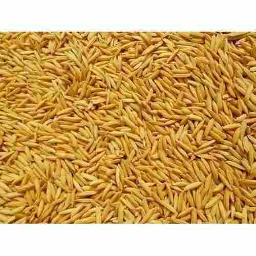 Carbohydrate Rich 100% Percent Pure And Natural Indian Origin Long Grain Brown Paddy Rice 