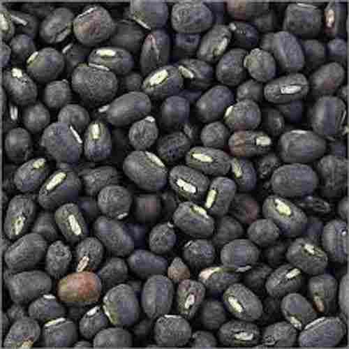 Pure Commonly Cultivated Dried Slightly Round Shaped Black Gram (Urad Dal)