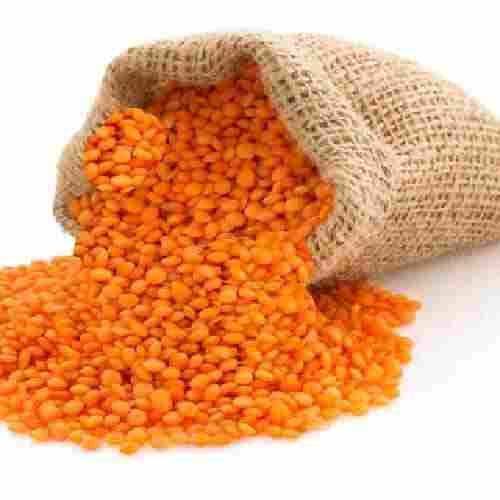 Healthy Round Shape Dried Splited Orange Masoor Dal, Packed In Packets