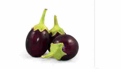 100% Pure And Natural Fresh Purple Brinjal With 7 Days Shelf Days For Cooking