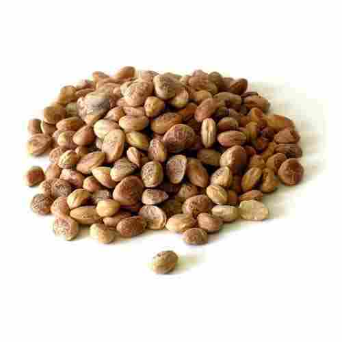 Quite Popular As A Dry Fruits Sweet Dried Round Brown Chironji