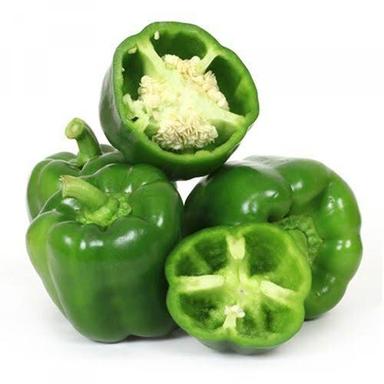 Metal Naturally Grown Fresh Green Bell Pepper