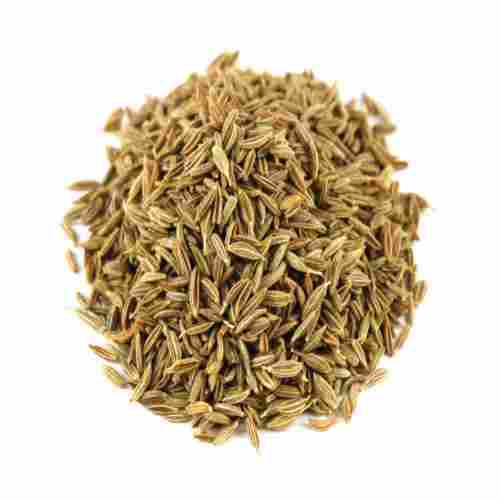 Fresh Strong Culinary Spice Very Aromatic Flavor Cumin Seeds 