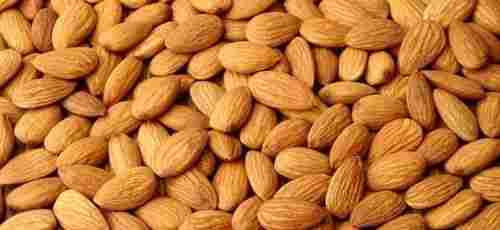 Healthy And Natural Highly Nutritious Premium Fresh Almonds Dried Fruits