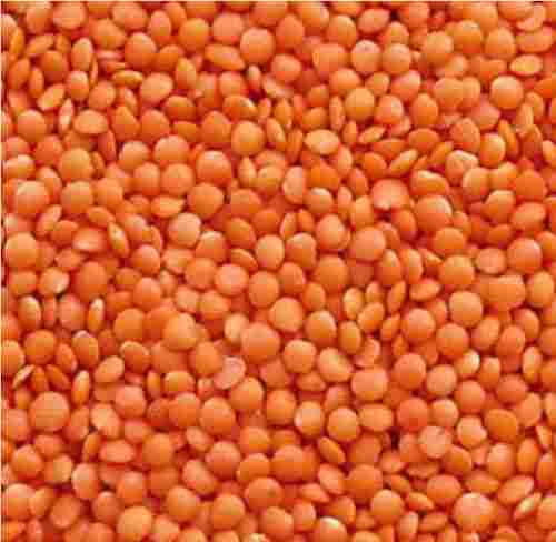 Medium Grain Size Commonly Cultivated Dried Splited Red Masoor Dal, Pack Of 1 Kg