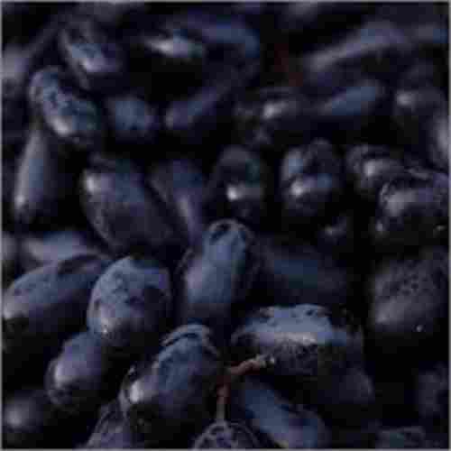 Fresh Sweet And Juicy Taste Oval Shape Common Cultivated Purple Jamun