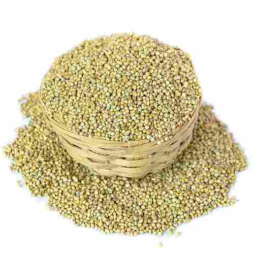 Commonly Cultivated Dried Pure And Healthy Hygienically Packed Pearl Millet 