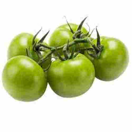Rich In Fiber Extremely Firm Light To Dark Lime Green Skin Green Tomatoes 