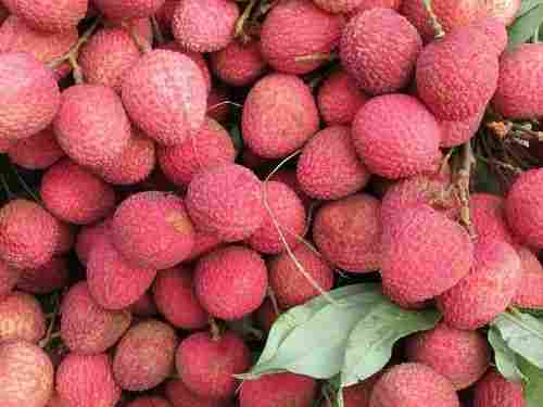 Pure And Raw Commonly Cultivated Sweet Whole Fresh Litchi 