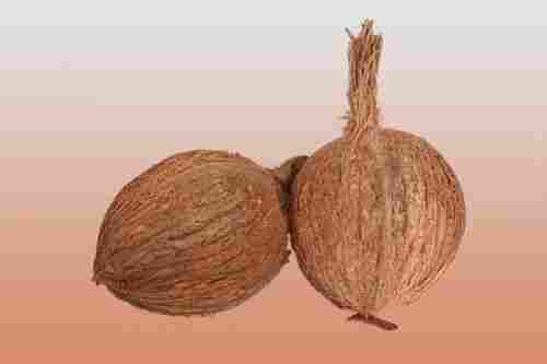 A Grade Fresh And Natural Solid Semi Husked Kobbari Medium Size Coconut
